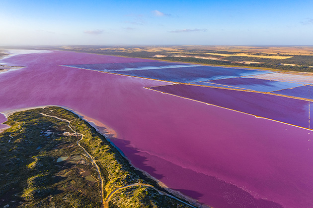 Aerial view of pink lake