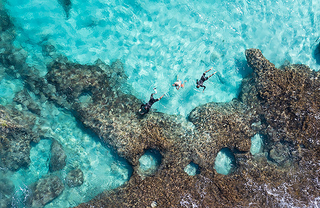 Two people swimming at Ningaloo Reef