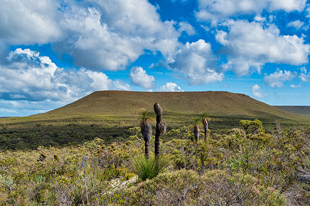 Mount Lesueur