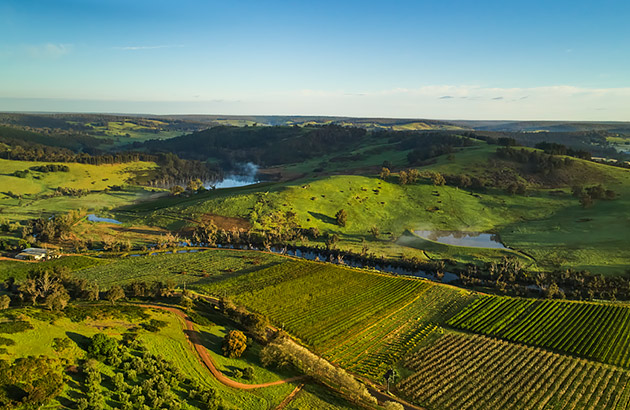 Farmlands in Balingup