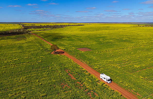 A green field with yellow canola flowers in Mingenew