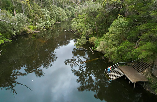 Aerial view of a river lined with trees in Pemberton