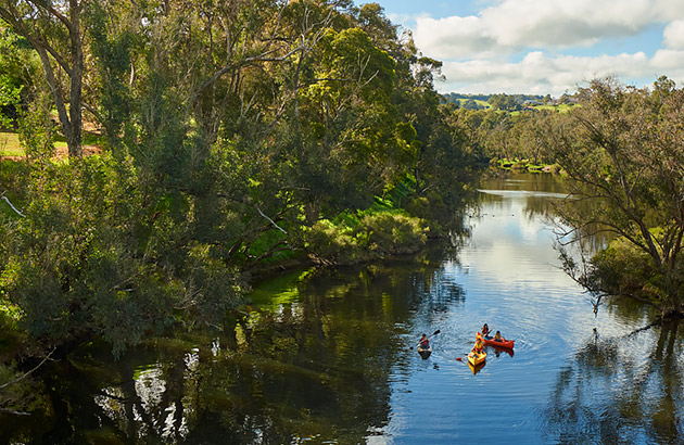 Three canoes on the Blackwood River