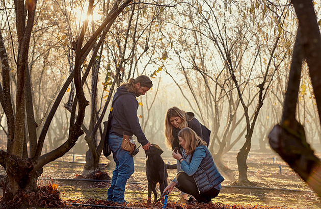 Truffle hunting on a truffle farm in Manjimup