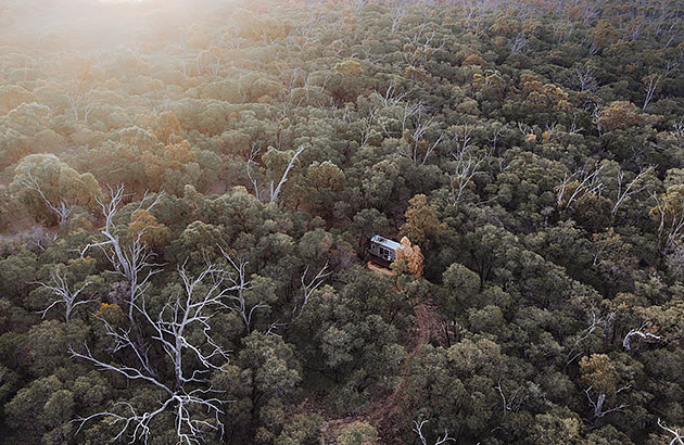 An aerial photo of a tiny cabin surrounded by tall trees