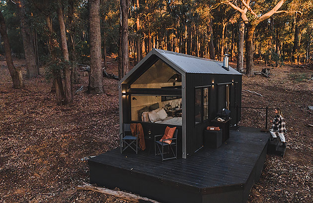 A tiny cabin in a clearing surrounded by tall trees