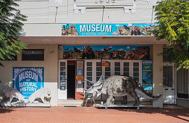 The exterior of the Museum of Natural History in Guildford