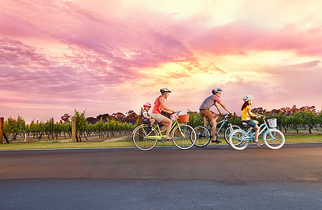 A family of three cycling on a path near grapevines