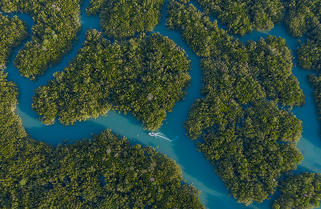 Aerial photo of Broome's mangroves