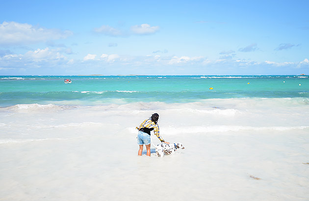 A person in shallow water with their dog on a beach in Lancelin