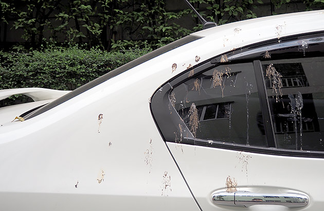 White car seen from the side with bird droppings on the body and windows