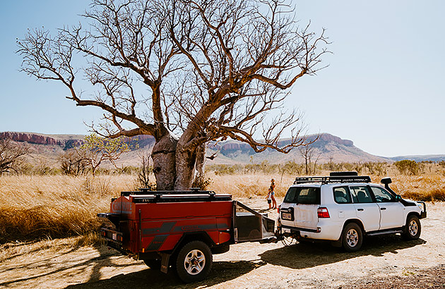 A four-wheel drive towing a camper-trailer parked next to a boab tree