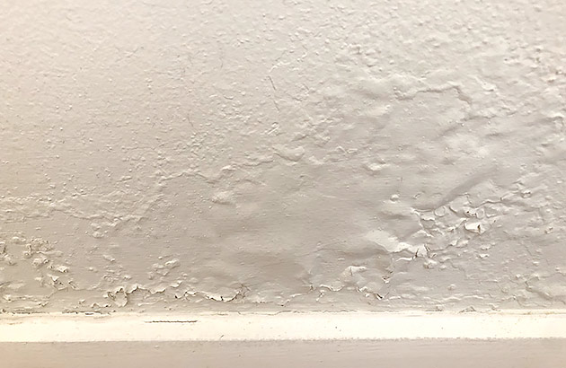 Bubbling paint shows rising damp on an interior house wall