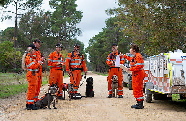 Search and rescue dogs with their owners getting a briefing from a team leader