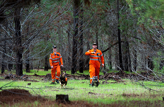 2 SES searchers in orange jumpsuits in a forest setting with 2 dogs