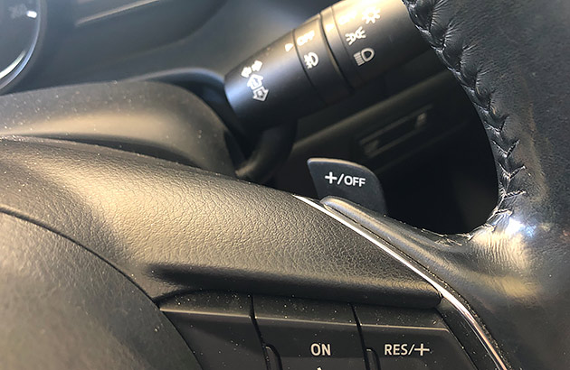 Paddle shifters in a modern car