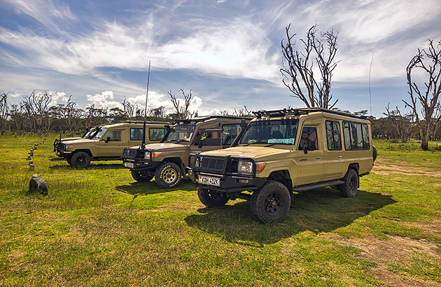 Three Toyota Landcruisers lined up in bushland setting