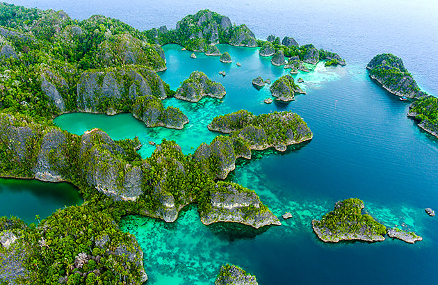 An aerial view of tropical islands covered in forest