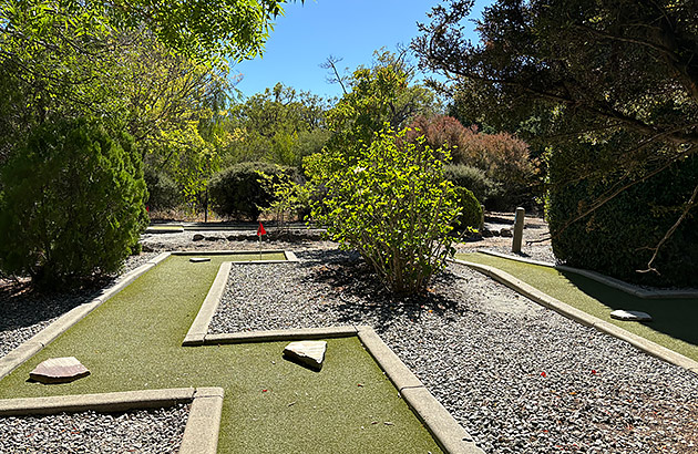 A view of a zig zagging green at Amaze Mini Golf