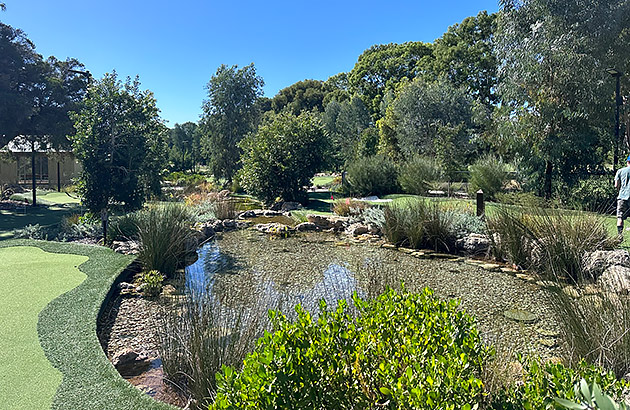 A lake at Collier Park Mini Golf