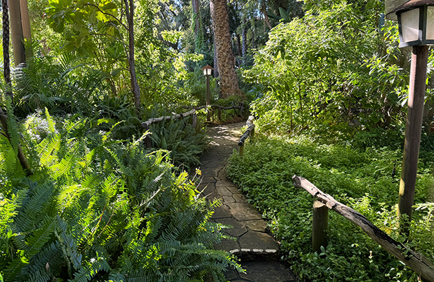 Wanneroo Botanic Gardens pathway through the grounds