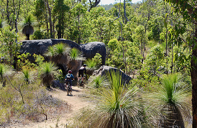 Two mountain bike riders on a trail in John Forrest National Park