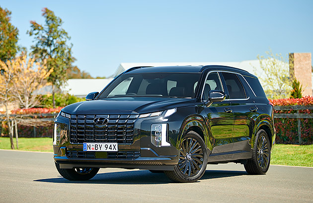 A blue Hyundai Palisade in a parkland setting