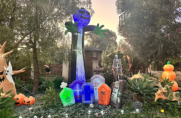 Inflatable pumpkins and skeletons in a front yard