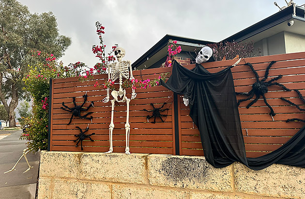 Skeletons hanging on a suburban fence