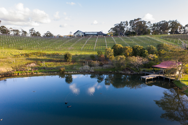 Wide shot of Wills Domain Winery in Margaret River, Western Australia