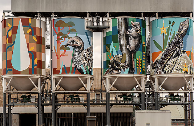 A colourful painted grain silo in Newdegate