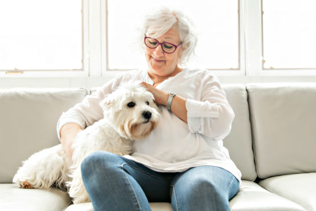 A lady visiting a dog