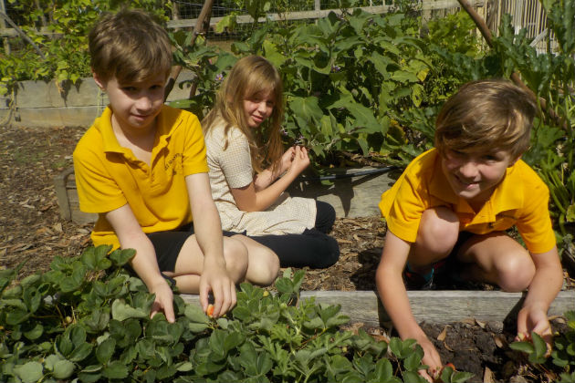 Mt Manypeaks teaches students about sustainability as well as road safety