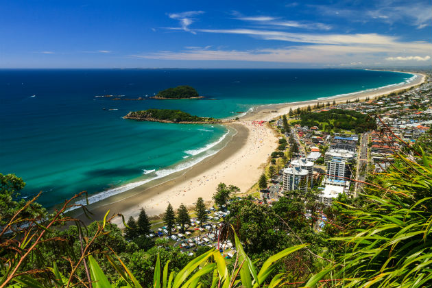 Tauranga from the air