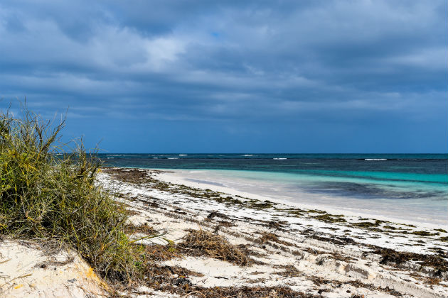 Hangover Bay, Cervantes