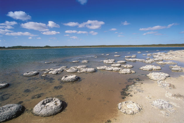 Lake Thetis, Cervantes