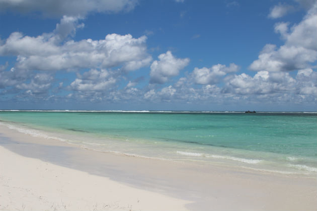 Lancelin Beach