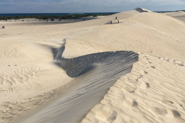 Lancelin dunes