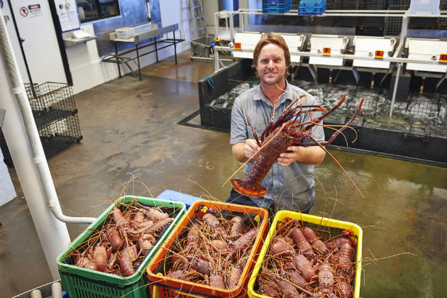 Lobster Shack, Cervantes