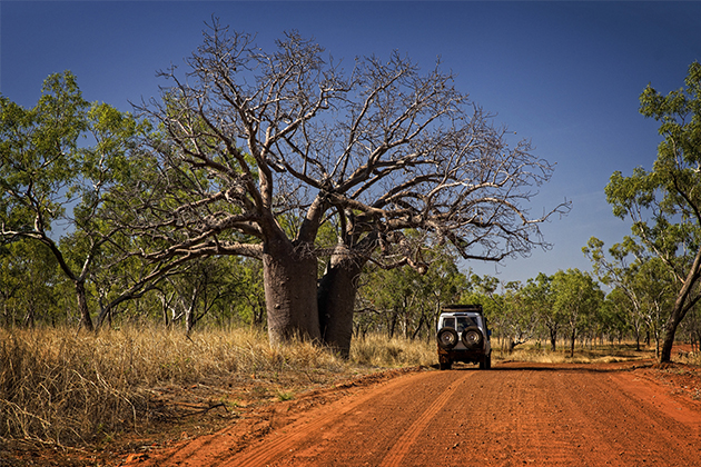 Image of car driving in the Kimberley