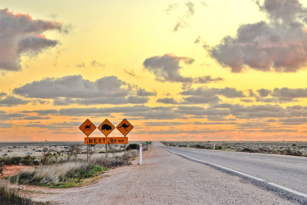 Image of wildlife signs on roadside