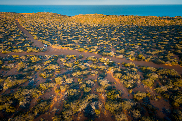 Image of car driving through national park