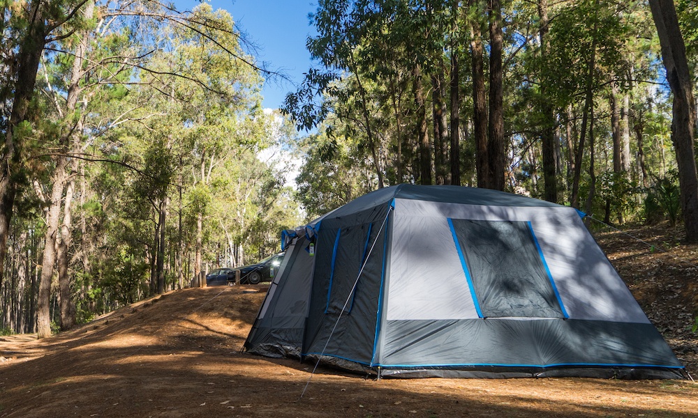 14++ Forest Camping Perth
