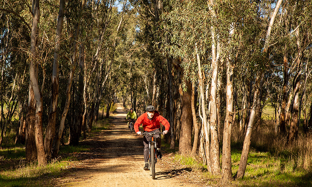 Dodge park mountain online bike trail