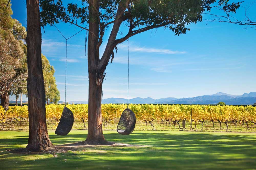 Two rattan egg chairs hang from tree branches overlooking the Cloudy Bay Lagoon Estate vinyard