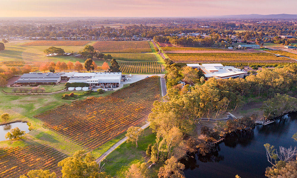 Ultimate Guide to the Swan Valley | RAC WA