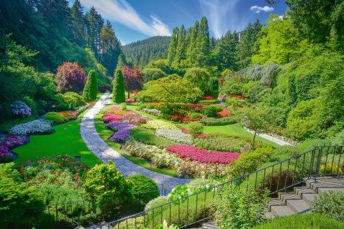 Butchart Gardens overflowing with lush greens and colourful blooms