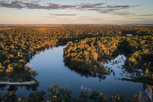 Aerial view of the Murray River at sunset 