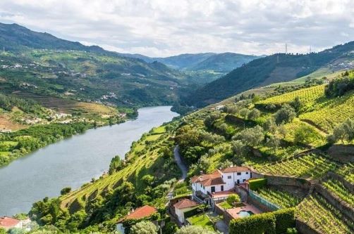 The Douro River flowing through a lush vineyard landscape