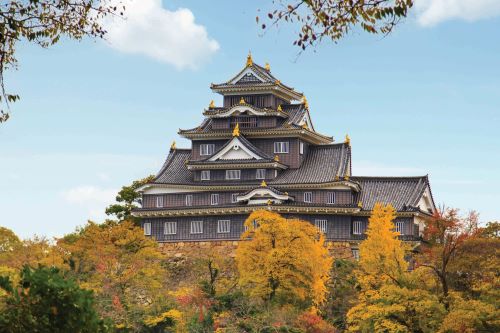 A grand Japanese castle surrounded by autumn-coloured trees 